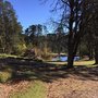 Photo of Parklands Country Garden & Lodges