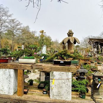Maas Nursery - Plants - Nurseries & Gardening Near Me - Seabrook, Texas