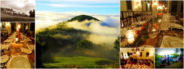 Ankida Ridge Vineyards by null