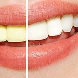 Alan J White, DDS - Untitled
