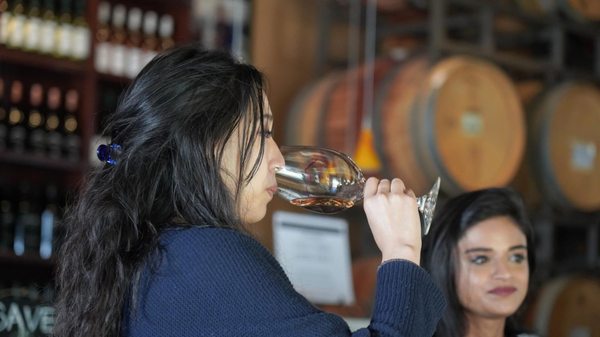 Laguna Canyon Winery by null