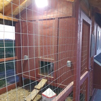 Hawk Electrical - Chicken Coop - Electricians Near Me - Brigham City, Utah Hawk Electrical - Chicken Coop - Electricians Near Me - Brigham City, Utah