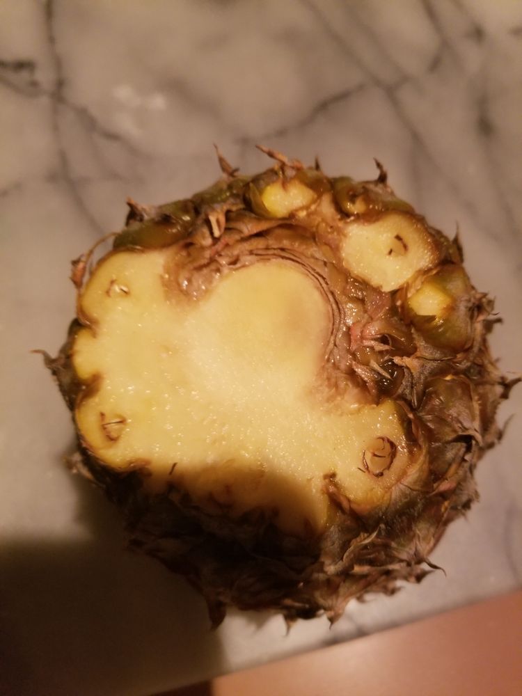 SPUD Updated September 2024 30 Photos & 114 Reviews 1660 E Hastings Street, Vancouver