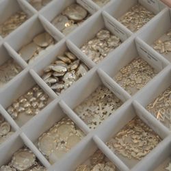 user provided Honey photo