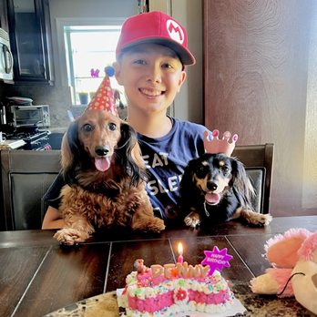 PJ's Pet Cafe - Happy Birthday, Penny!! - Pet Stores Near Me - Long Beach, California