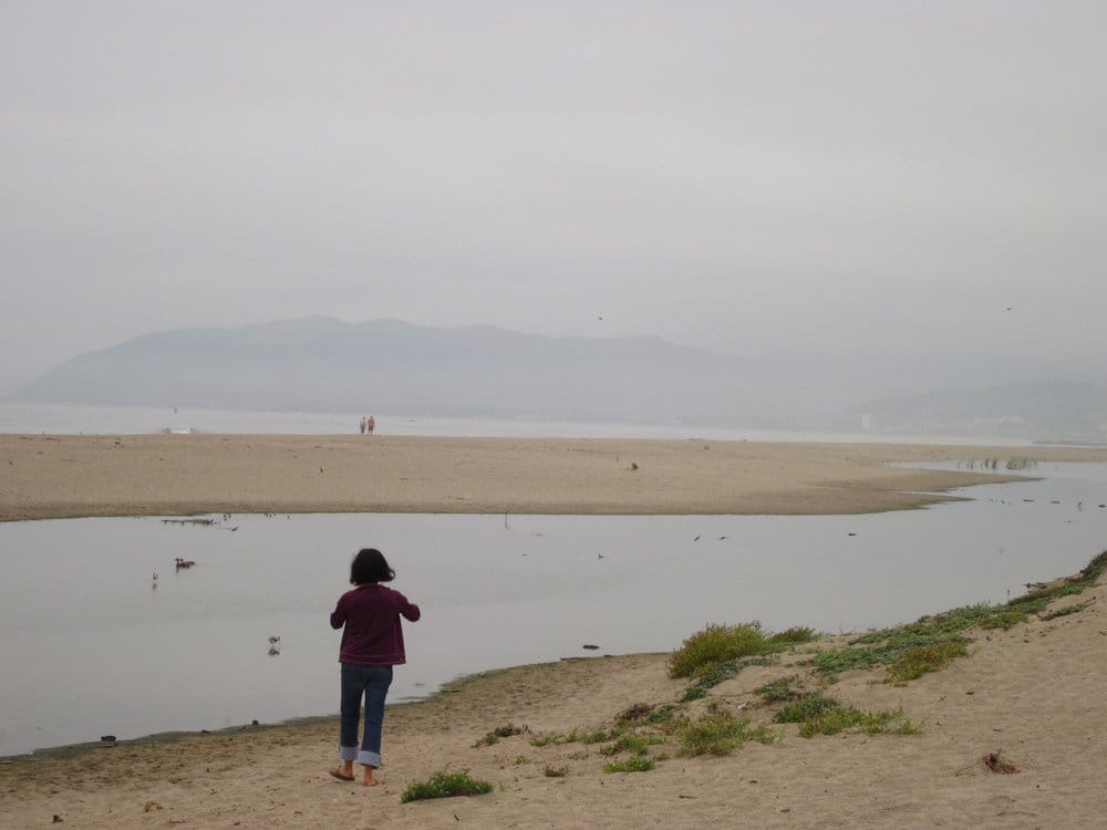 McGrath State Beach Logo