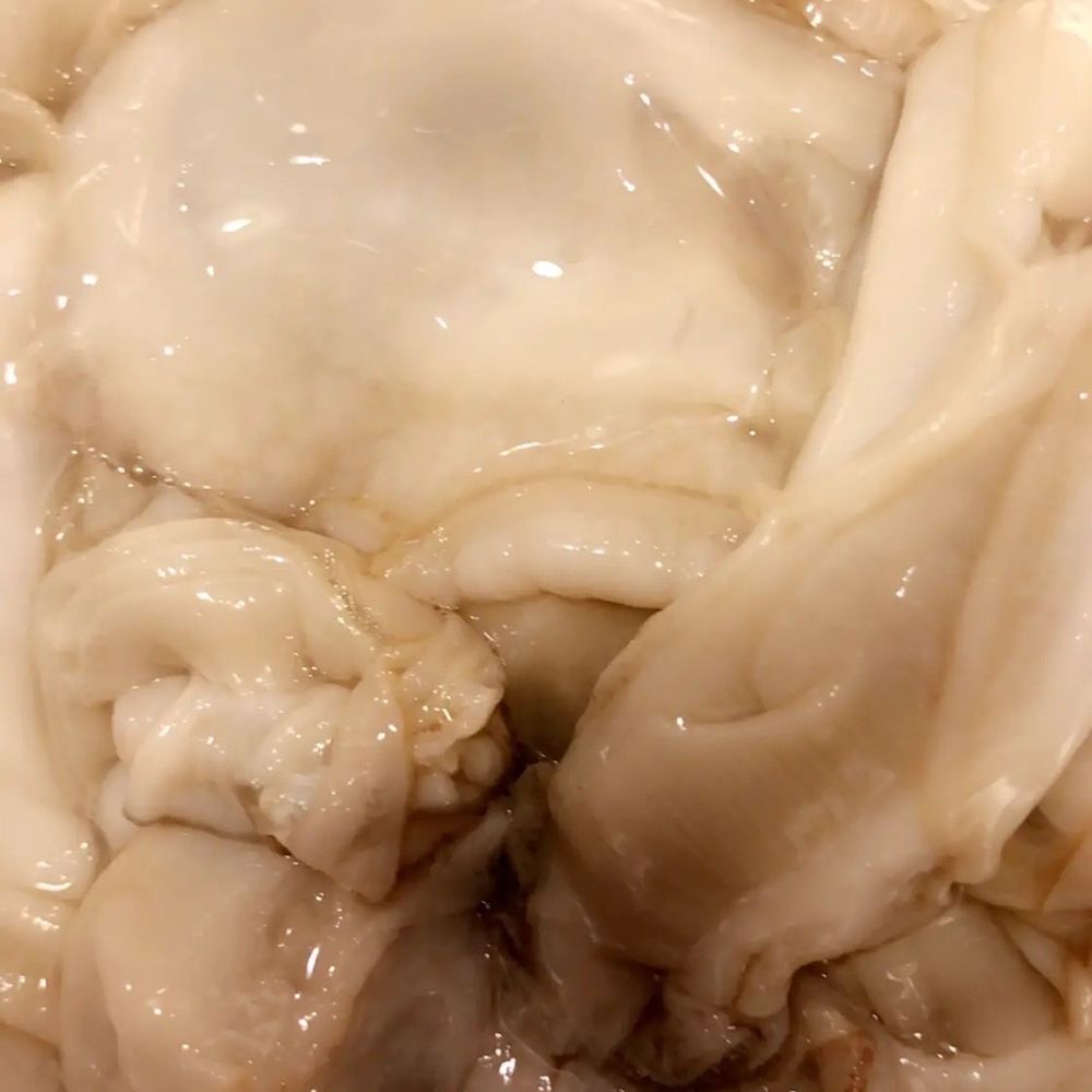 Terry's Oyster - a close up of a crab in a colander - Seafood Near Me - Port Sulphur, Louisiana Terry's Oyster - a close up of a crab in a colander - Seafood Near Me - Port Sulphur, Louisiana