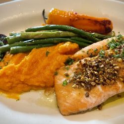 Salmon
