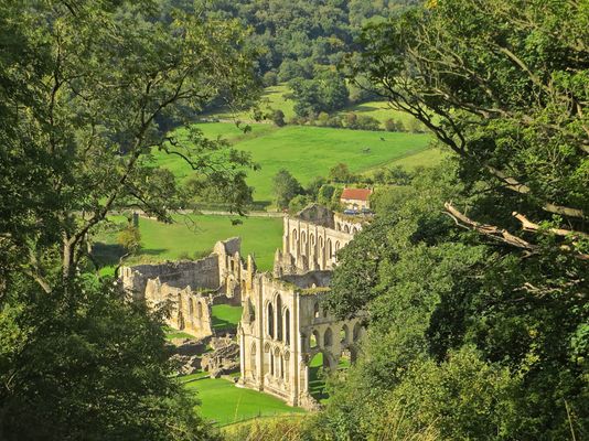 Rievaulx Abbey by null