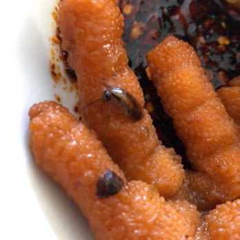Star Kitchen - Dim Sum Near Me - Denver, Colorado Star Kitchen - Dim Sum Near Me - Denver, Colorado