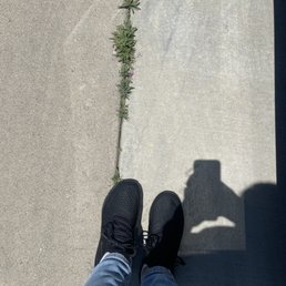 These are the shoes we bought.
