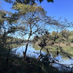 Harbison State Forest