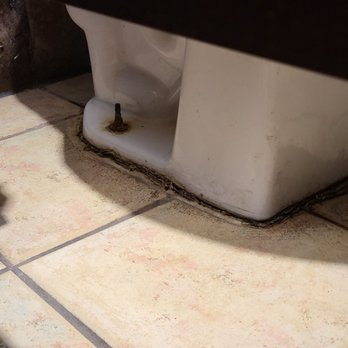 Cheddar's Scratch Kitchen - Womens Restroom / Mildew - American Near Me - Waco, Texas