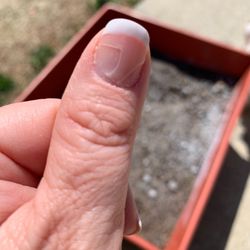 High Tech Nails - Gel is Already peeling after 8 days . Disappointed