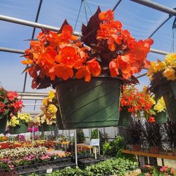 Garden Ave. Greenhouse & Garden Center