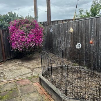 JML Landscape & Maintenance - After - Landscaping Near Me - San Jose, California