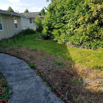 RMJ General Contractors - Before landscape renovation, it was outdated outgrown no curb appeal! - Roofing Near Me - Puyallup, Washington RMJ General Contractors - Before landscape renovation, it was outdated outgrown no curb appeal! - Roofing Near Me - Puyallup, Washington