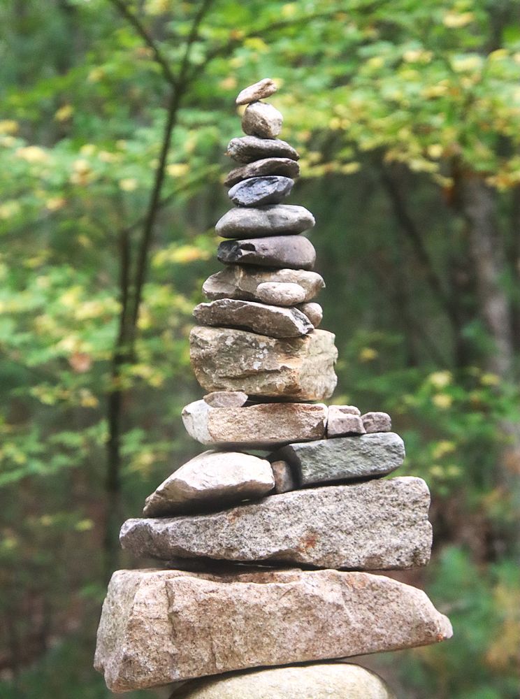 Walden Pond State Reservation Image