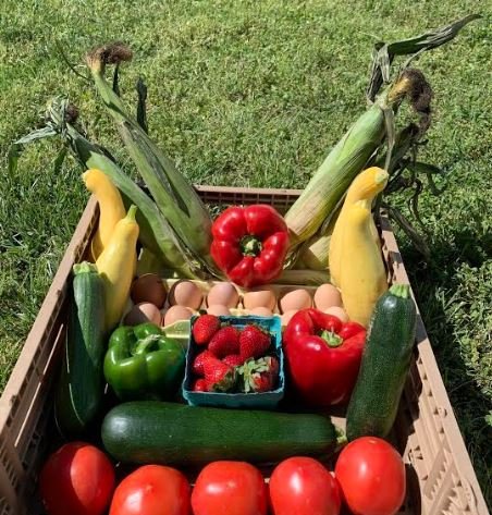 Community Helps Itself - social services organization in Chattanooga, TN