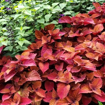 Washington Square Park - Parks Near Me - Chicago, Illinois
