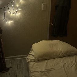 user provided BodyFIX photo