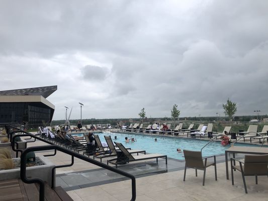 The Catbird Seat Pool Bar by null