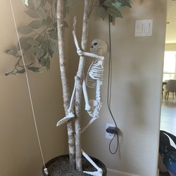 Surprise Bins - This awesome skeleton at $2!