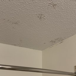 Mold over shower