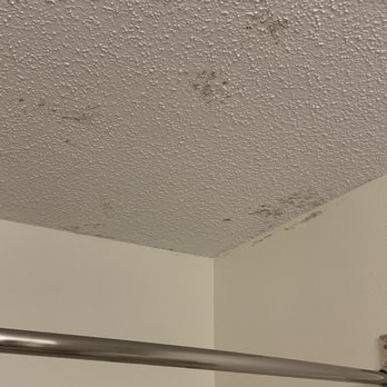 Holiday Inn Express & Suites Lancaster-Lititz - Mold over shower - Hotels Near Me - Lititz, Pennsylvania