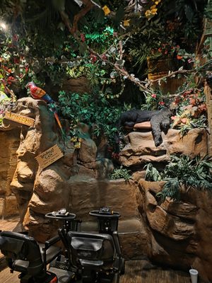 Rainforest Cafe by null