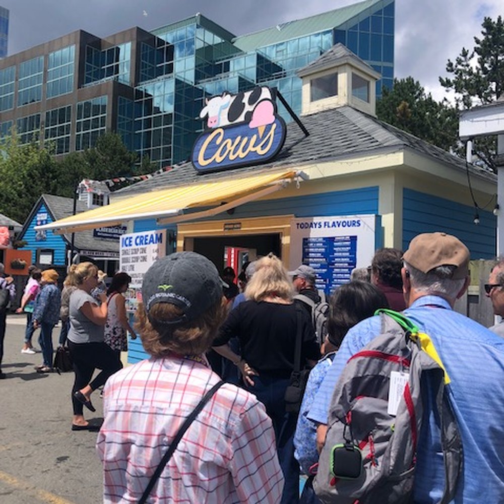 Cows - Ice Cream & Frozen Yogurt Near Me - Halifax, Nova Scotia