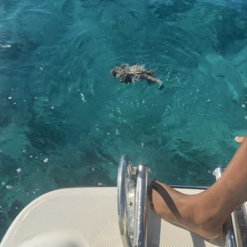 Key King Charters - Boat Charters Near Me Key King Charters - Boat Charters Near Me