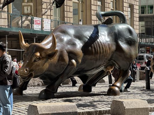 Charging Bull by null
