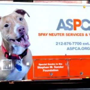 Aspca Mobile Spay Neuter Clinic 51 Photos 104 Reviews Veterinarians New York Ny United States Phone Number Yelp Aspca Mobile Spay Neuter Clinic 51 Photos 104 Reviews Veterinarians New York Ny United States Phone Number Yelp