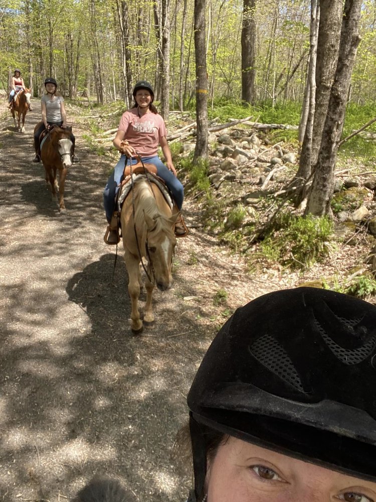 JLS MISSION EQUINE 10 Photos 302 S Rd, Harwinton, Connecticut