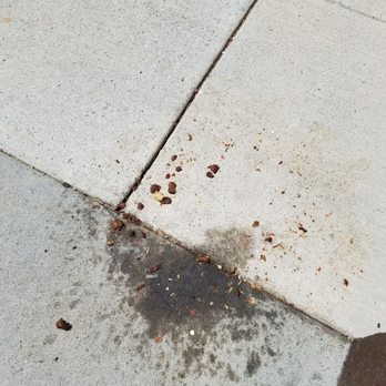 Sushi Rose - more vomit!! right outside the front door - Sushi Bars Near Me - Reno, Nevada Sushi Rose - more vomit!! right outside the front door - Sushi Bars Near Me - Reno, Nevada