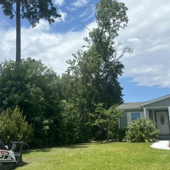 Elite Project Management - Tree Services Near Me Elite Project Management - Tree Services Near Me
