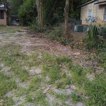 Jamie's Tree Service - Tree Services Near Me - Jacksonville, Florida