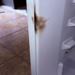 What appears to be an electrical burn. On the inside of the freezer.
