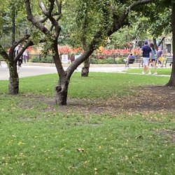 The Park--open spaces for picnicking or getting some sun-August 2022