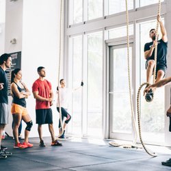 Society Fitness