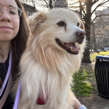 Korean K9 Rescue - Zion and I! - Animal Shelters Near Me - Astoria, New York