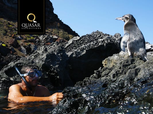 Quasar Expeditions by null