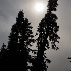 David Dybdal, MD, PhD - Even in the haze of billowing smoke from a distant burning forest, beauty still shines through.