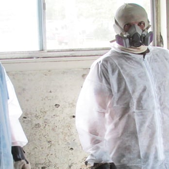 Eco Green Solutions - Mold Removal & Testing - Damage Restoration Near Me - Mahopac, New York Eco Green Solutions - Mold Removal & Testing - Damage Restoration Near Me - Mahopac, New York