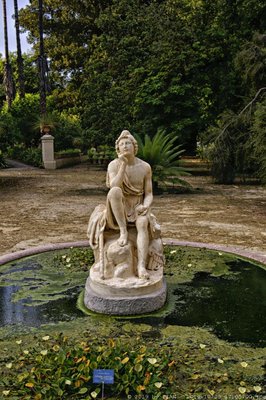 Orto Botanico di Palermo by null