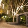 Photo of The Enchanted Forest