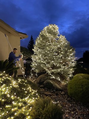 A C WINDOW WASHING - Updated January 2025 - 11 Reviews - Roseville