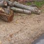 Photo of Timberline Tree Service & Landscaping