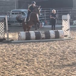 Equestrian Games Riding Academy